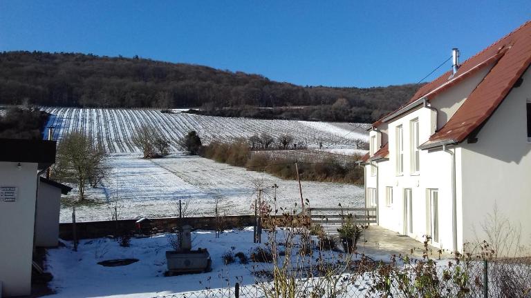 Aux vignes - B&B Wissembourg