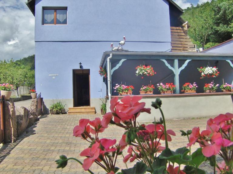 Au nid de la foret - B&B Bœrsch