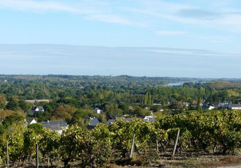 Clos sainte catherine - Ferienwohnung Rochefort-sur-Loire