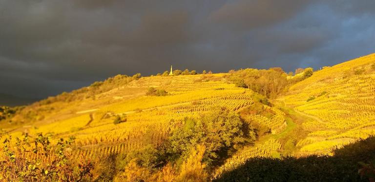 Wine Passion Panoramic - B&B Chavanay