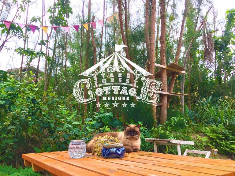 猫とピアノと星空のリゾートブティックコテージ -Starry Forest Cottage Okinawa- - B&B Onna