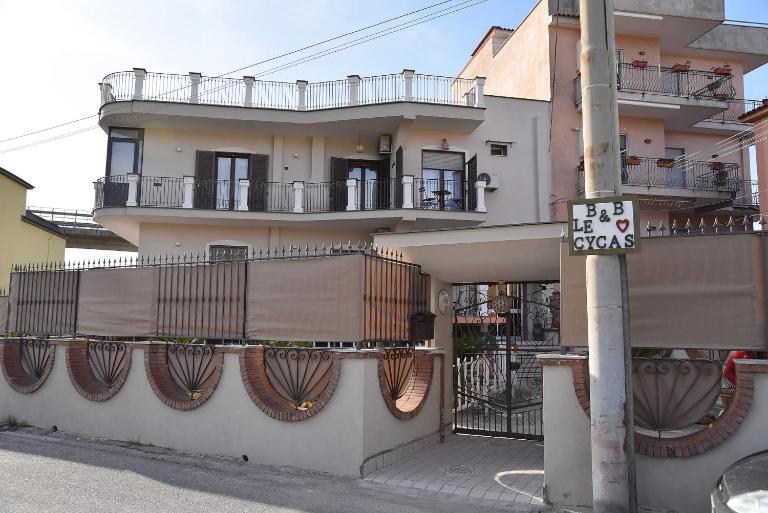 B&b Le Cycas - B&B Castellammare di Stabia