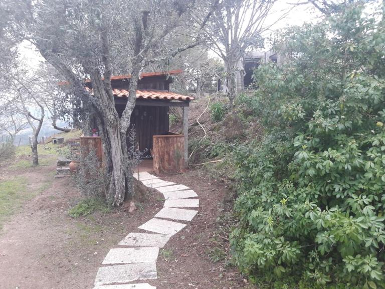 Cabana da Oliveira - Bed and Breakfast Marco de Canaveses