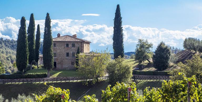La Maccinaia by Salogi Villas - Bed and Breakfast Monte Benichi