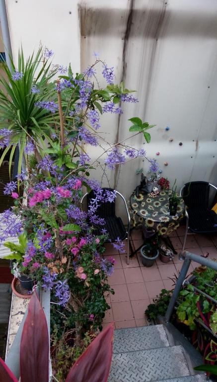 Pulisen Homestay - B&B Puli