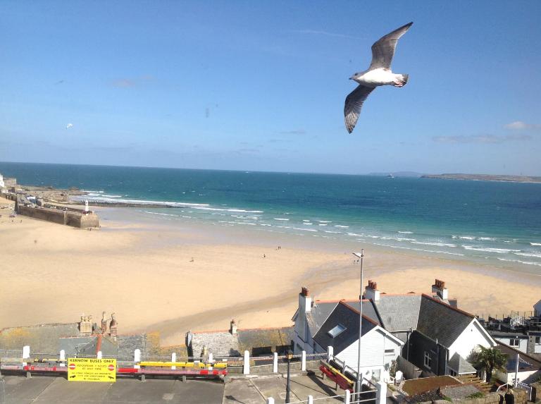 Golden Hind - Chambres d'hôtes St Ives