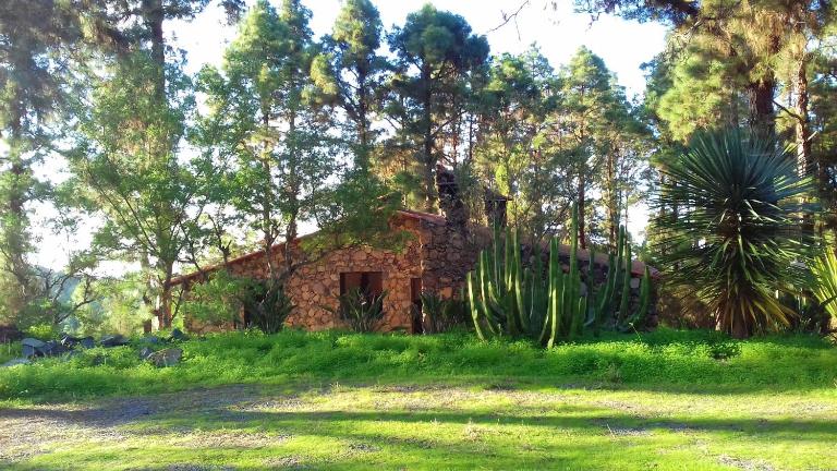Monte frio de Tenerife - Ferienwohnung La Guancha