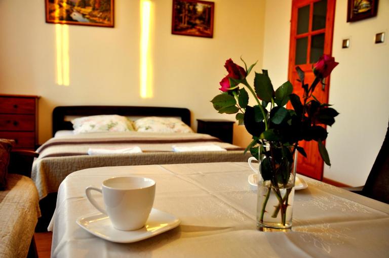 Pokoje Sylwia z aneksami kuchennymi w każdym pokoju - B&B Ustroń