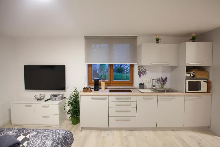 Studio Jan - Bed and Breakfast Zgornje Gorje