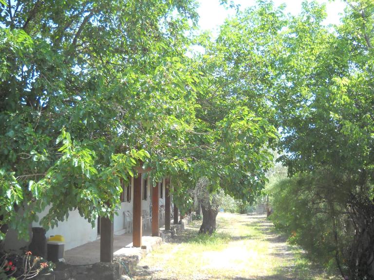 Agriturismo Su Tiresi - B&B Cala Gonone
