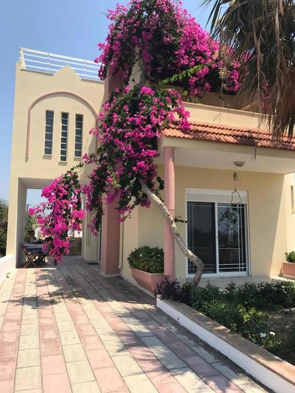 Villa George - B&B Apolakkiá