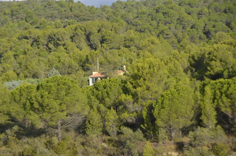 La petite Cigale - B&B Cesseras