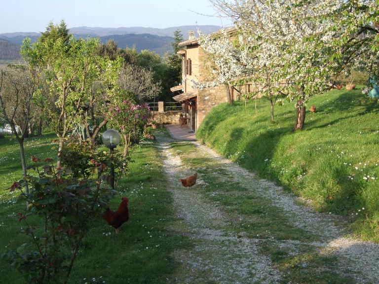 Podere La Vigna Locazione Turistica - B&B Orvieto