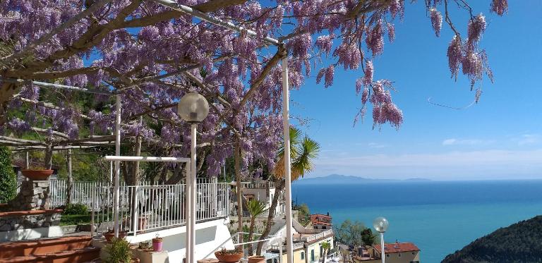 Le Terrazze di Cristina - B&B Vietri sul Mare