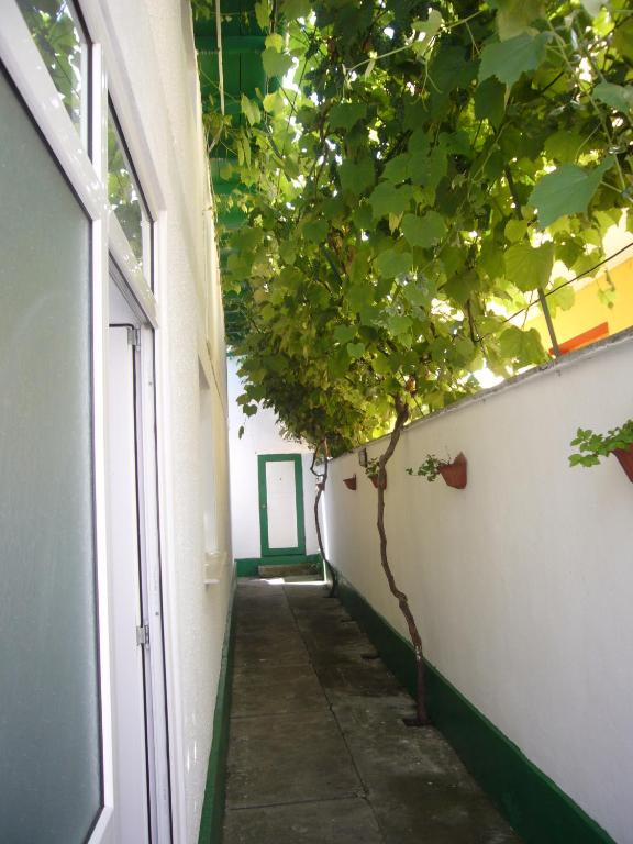 Camere De Inchiriat "Pinciuc Gheorghe" - Ferienwohnung Costineşti