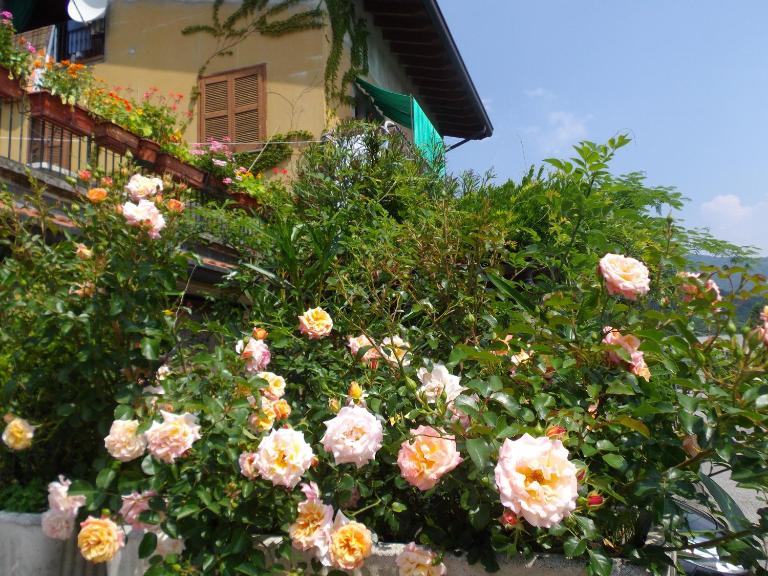 Il Giuggiolo - Chambres d'hôtes Calco