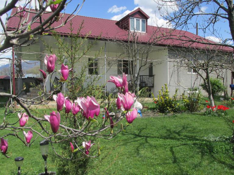 Guest House Melissa - Bed and Breakfast Duisi