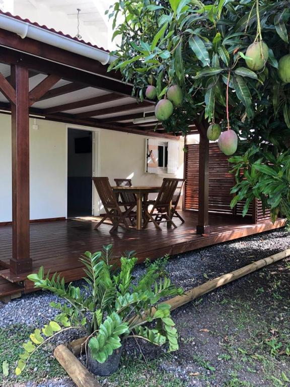 La tourterelle de Neron - B&B Le Moule