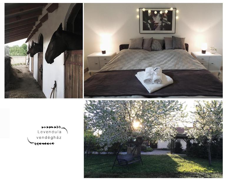 Levendula Vendégház - B&B Borsodivánka