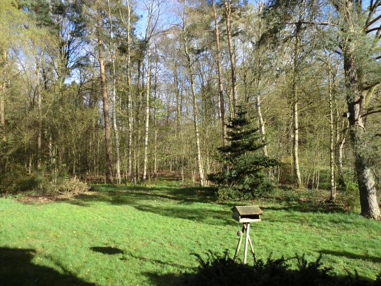 Ferienwohnung Bachforelle - B&B Neuenkirchen