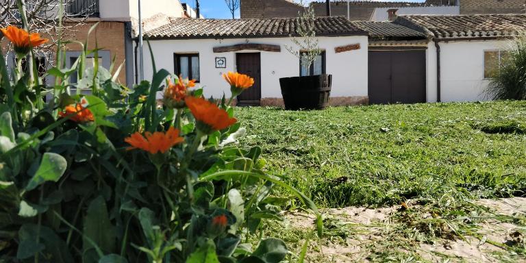 La mimosa - B&B Carcastillo