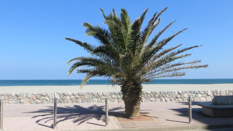 RESIDENCE LE NEULOS, T2 40m2 AVEC GARAGE PRIVE, 150 m de la mer, Avenue Roussillon Canet-Plage - Chambres d'hôtes Canet-en-Roussillon