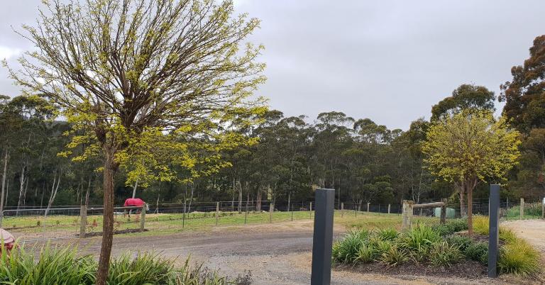 Lockleigh Park - Bed and Breakfast Lebrina