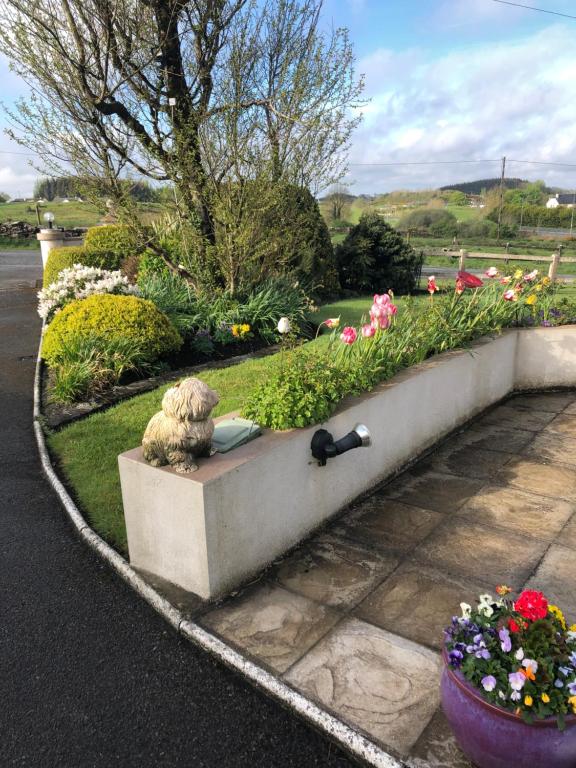 June’s b&b - Ferienwohnung Kilkelly