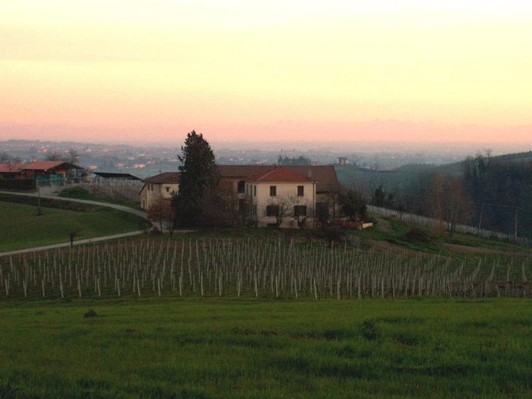 Cascina Alberta - B&B Vignale Monferrato