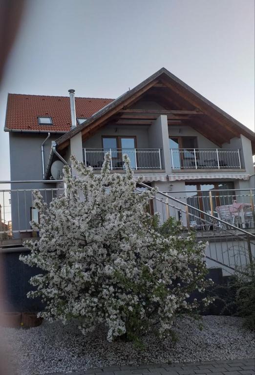 Villa Rigo Panzió - B&B Verpelét