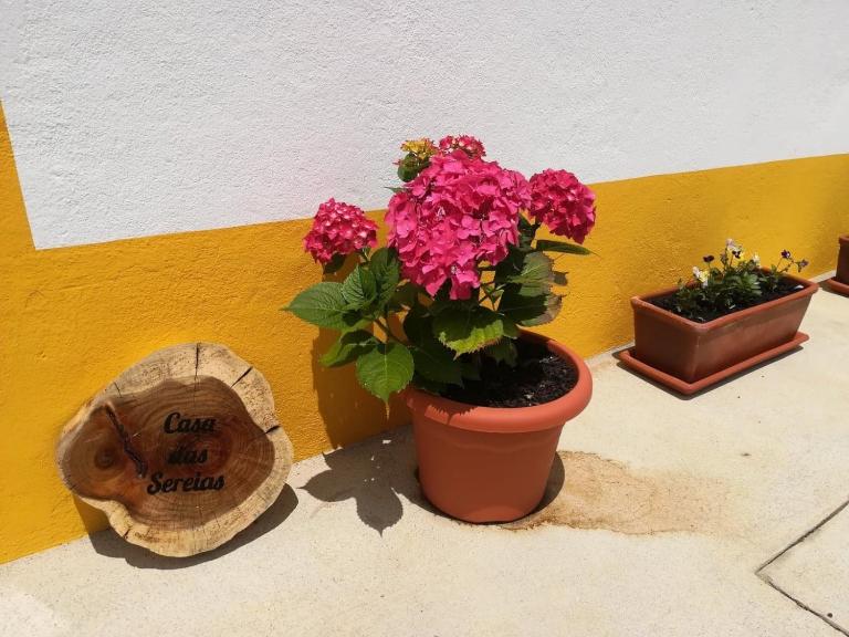 Casa das Sereias - B&B Rabo de Peixe