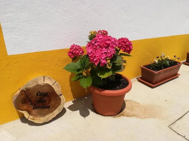 Casa das Sereias - Bed and Breakfast Rabo de Peixe