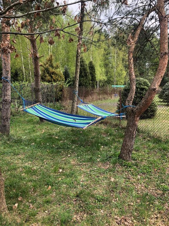 Nocleg Warmia - B&B Nowa Kaletka