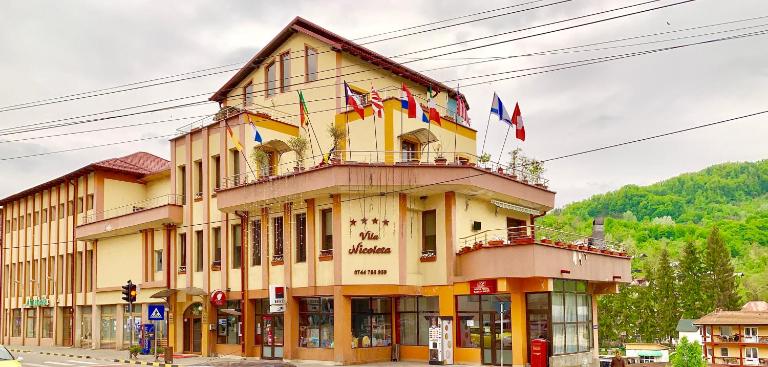 Vila Nicoleta - B&B Băile Olăneşti