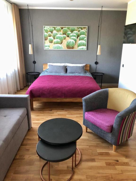 Kaktuss apartamenti Smiltene - B&B Smiltene