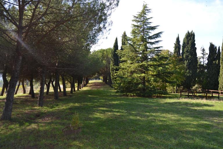 Agriturismo I Muri - Chambres d'hôtes Monte Santa Maria Tiberina