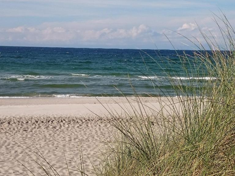 Ferienwohnung Mone - B&B Ostseebad Dierhagen