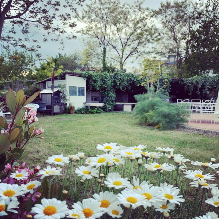 Casa Vacanze Fattoria Pozzitello - Ferienwohnung San Salvo