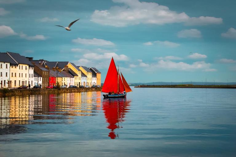 The Herons Rest Townhouse B&B - Bed and Breakfast Galway