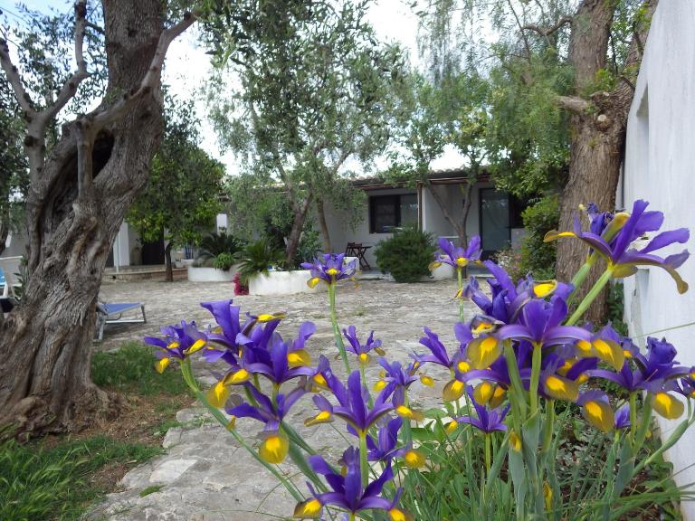 B&B Masseria Liberatore - B&B Mattinata