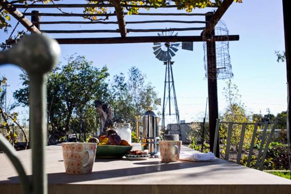 Olive Grove House - B&B Prince Albert