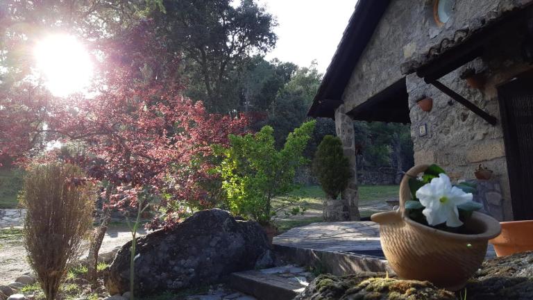 Casa rural La Borriquita - B&B Gavilanes