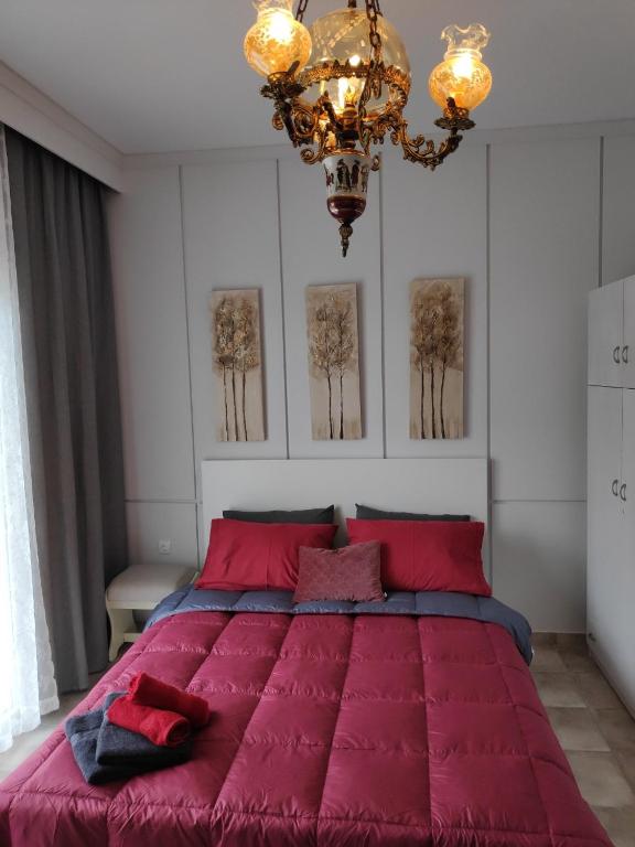 Cozy apartments - B&B Komotini