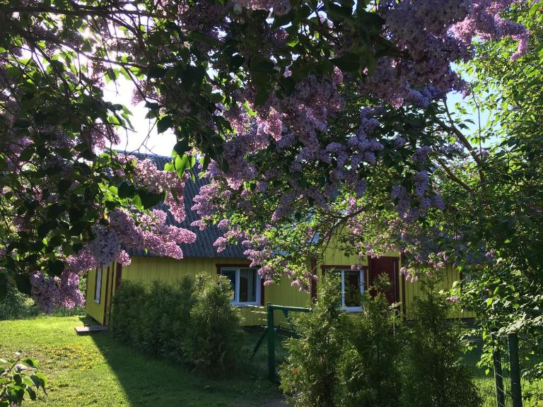 Kihnu Kuraga Homestay - Ferienwohnung Lemsi