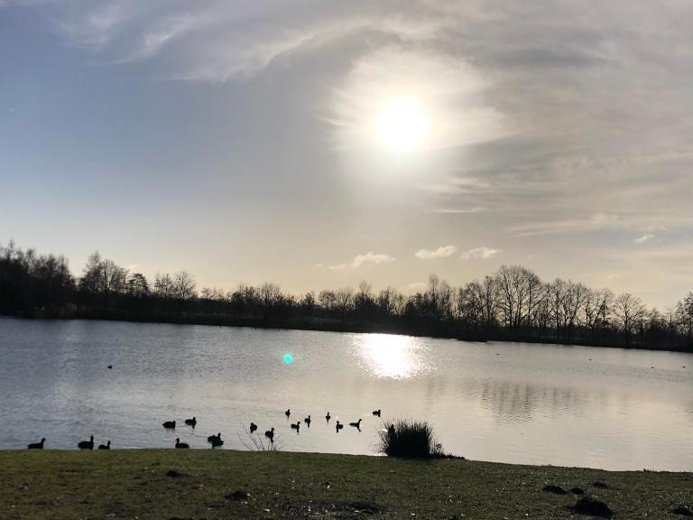 Vakantiewoning ‘t Reigersnest - Chambres d'hôtes Zonhoven
