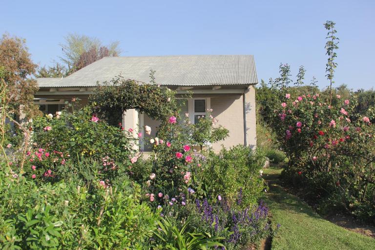 BELLA ROSA FARM - B&B Midrand