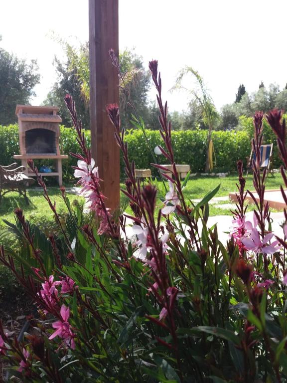 Casa Vacanza Assunta - Bed and Breakfast Melendugno