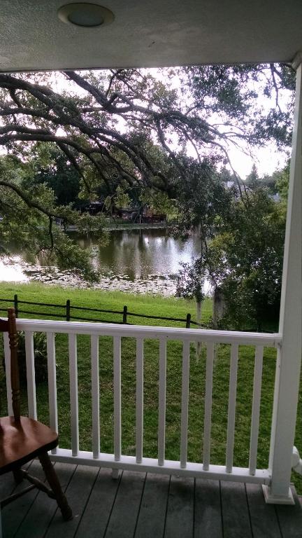 Tampa Lakehouse - Bed and Breakfast Tampa