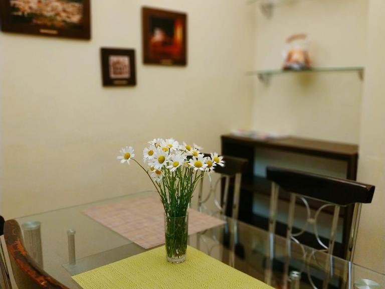 Lviv City Apartment - B&B Leópolis