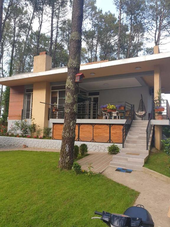 Shekvetili Big Wonder - B&B Shek’vetili